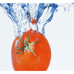 Wastewater Treatment for Hydroponic, Case Study