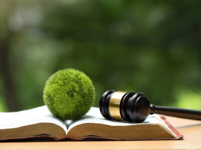 Environment Law. Green globe placed and gavel on a law book. law for principles of sustainable environmental conservation. environmental protection and eco-friendly legislation law. Save Earth.ESG